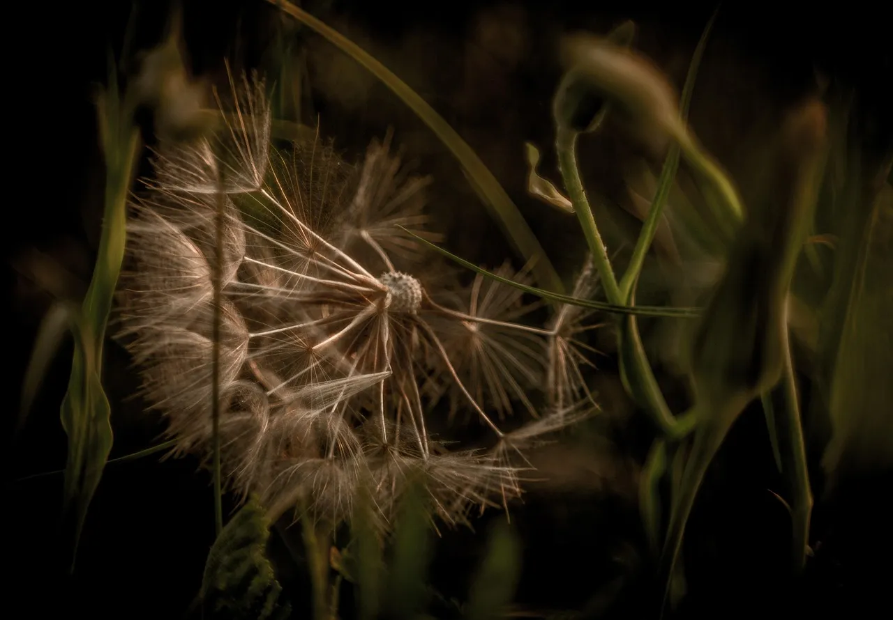 Where Only Love Can Go - The Cloud of Unknowing