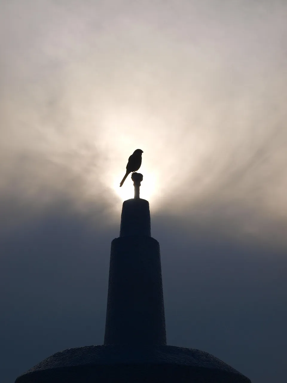 In Search of Belief