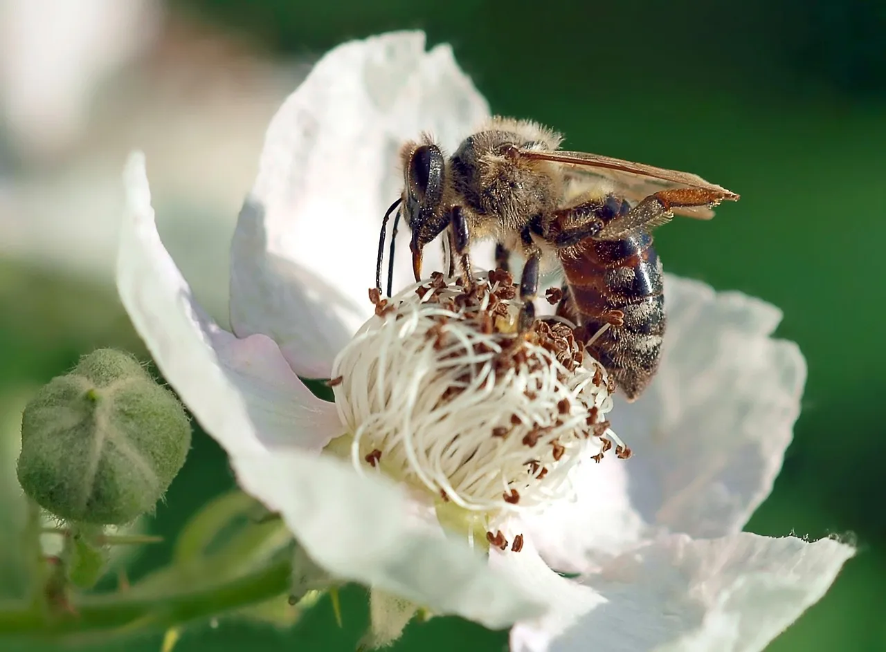 Lessons for the Living from the Dying