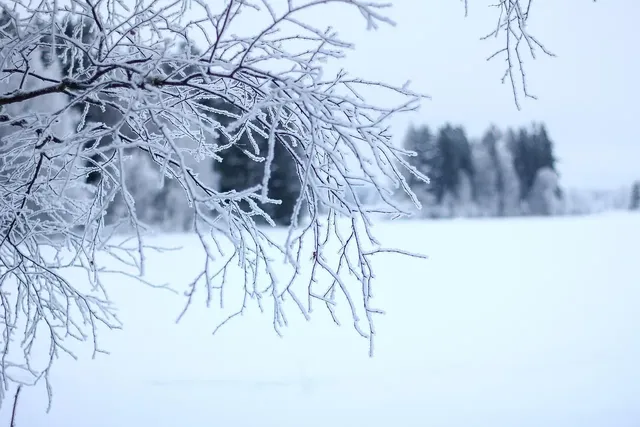 Snowflake Ornament
