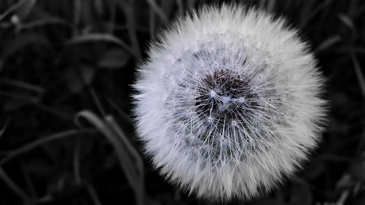 All Will Be Well - Julian of Norwich