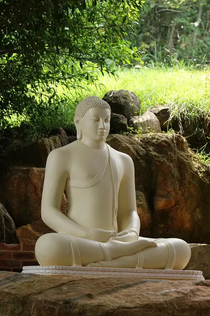 Meditation & Psychotherapy