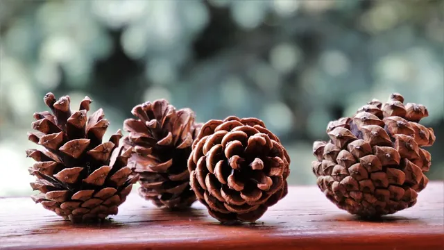 Tree of Life Ornament