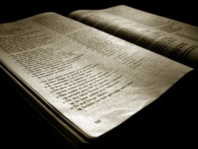 Bible Reading