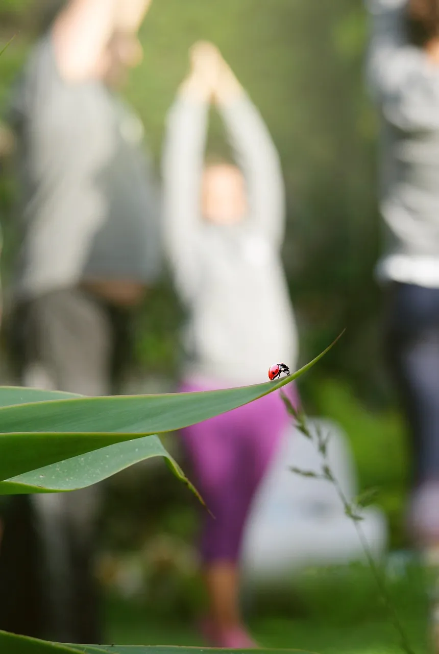 Food for the Journey-Weekly Teaching for the Meditation Group- Kim Nataraja