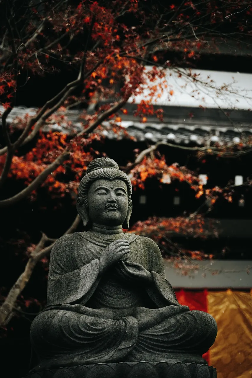 Relilience - The New Science of Mastering Stress and Living Well CD Set