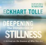 Deepening The Dimension of Stillness DVD Set