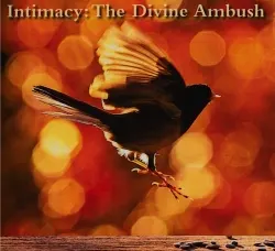 Intimacy:  The Divine Ambush- New! Richard Rohr - James Finley