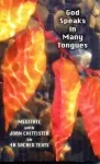 God Speaks In Many Tongues- Meditate with Joan Chittister